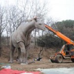 parco_natura_viva_riapre_con_un_nuovo_ospite_preistorico_imagelarge