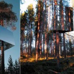 Lapponia svedese, a luglio il primo hotel sull’albero