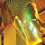 Yara Tours si rinnova e presenta i cataloghi 2011