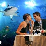 Gardaland Sea Life, all’asta su eBay una cena per due a San Valentino
