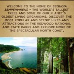 California: sempre più "App" e teconologia nel turismo